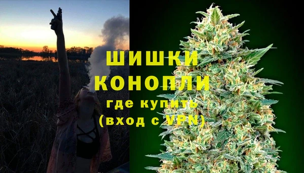 сатива Алзамай