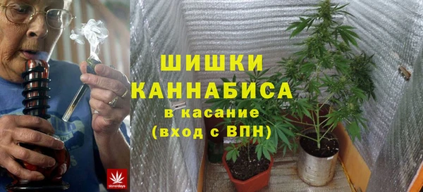 сатива Алзамай